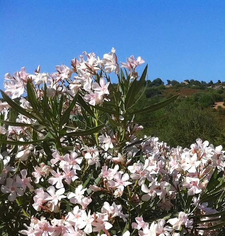 Le Tre Pietre Βίλα Baja Sardinia Ιταλία