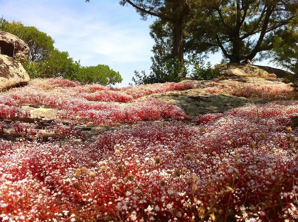 Villa Le Tre Pietre à Baja Sardinia